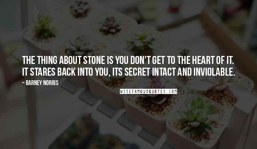 Barney Norris Quotes: The thing about stone is you don't get to the heart of it. It stares back into you, its secret intact and inviolable.