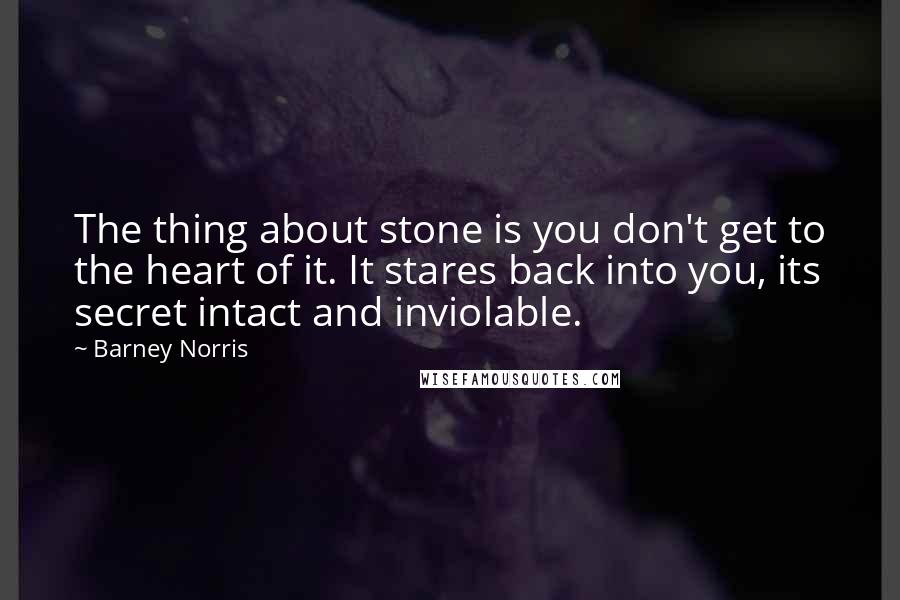 Barney Norris Quotes: The thing about stone is you don't get to the heart of it. It stares back into you, its secret intact and inviolable.