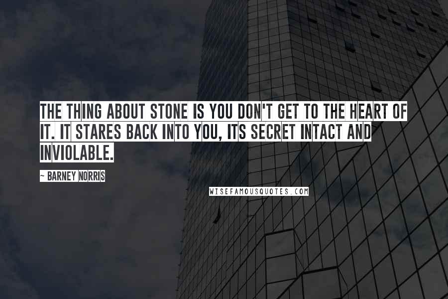 Barney Norris Quotes: The thing about stone is you don't get to the heart of it. It stares back into you, its secret intact and inviolable.