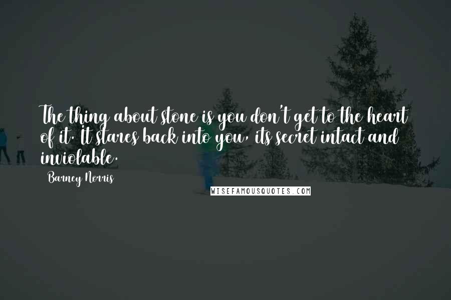 Barney Norris Quotes: The thing about stone is you don't get to the heart of it. It stares back into you, its secret intact and inviolable.