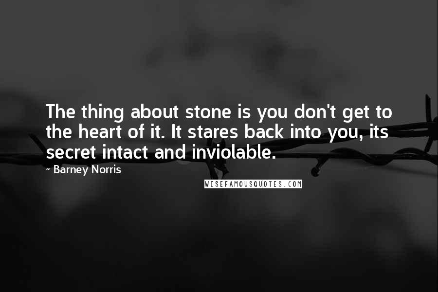 Barney Norris Quotes: The thing about stone is you don't get to the heart of it. It stares back into you, its secret intact and inviolable.