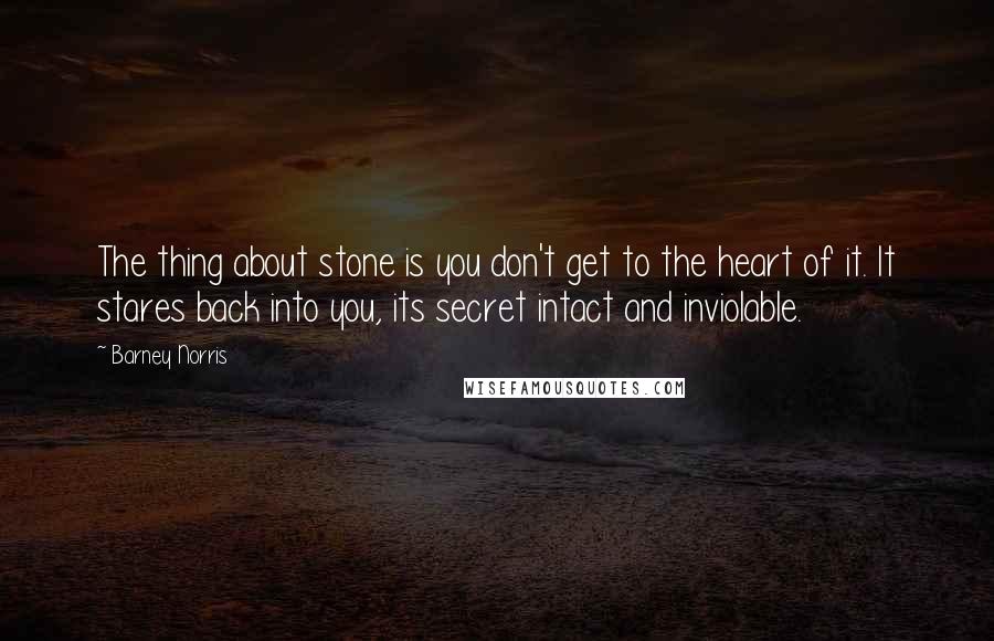 Barney Norris Quotes: The thing about stone is you don't get to the heart of it. It stares back into you, its secret intact and inviolable.