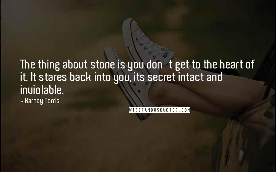 Barney Norris Quotes: The thing about stone is you don't get to the heart of it. It stares back into you, its secret intact and inviolable.