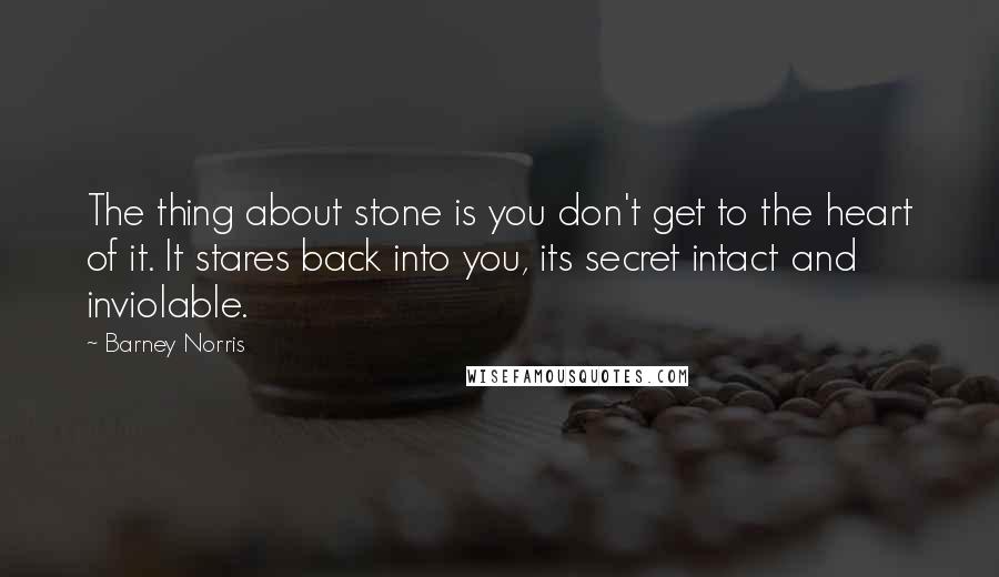 Barney Norris Quotes: The thing about stone is you don't get to the heart of it. It stares back into you, its secret intact and inviolable.