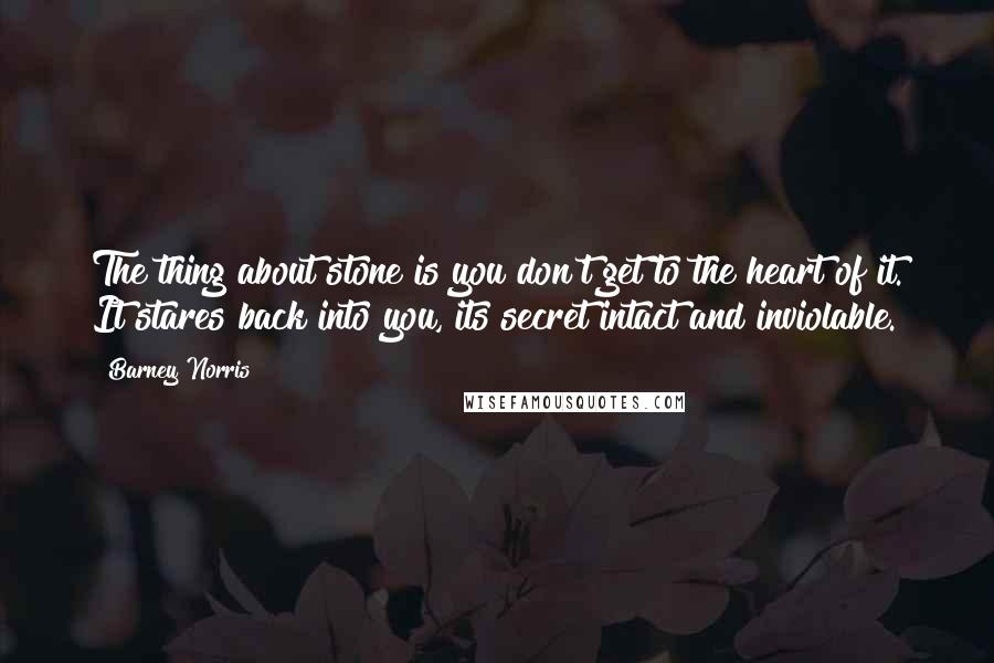 Barney Norris Quotes: The thing about stone is you don't get to the heart of it. It stares back into you, its secret intact and inviolable.