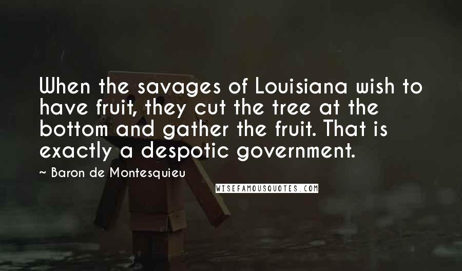 Baron De Montesquieu Quotes: When the savages of Louisiana wish to have fruit, they cut the tree at the bottom and gather the fruit. That is exactly a despotic government.