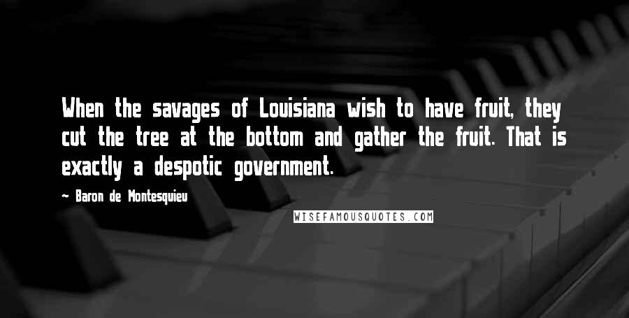 Baron De Montesquieu Quotes: When the savages of Louisiana wish to have fruit, they cut the tree at the bottom and gather the fruit. That is exactly a despotic government.