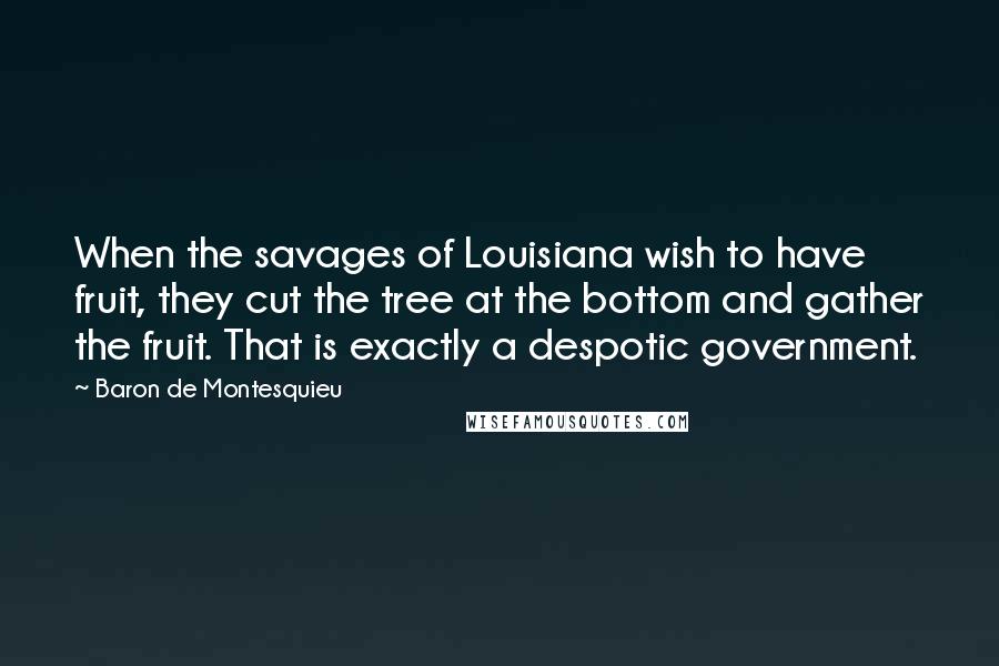 Baron De Montesquieu Quotes: When the savages of Louisiana wish to have fruit, they cut the tree at the bottom and gather the fruit. That is exactly a despotic government.