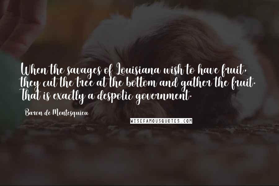 Baron De Montesquieu Quotes: When the savages of Louisiana wish to have fruit, they cut the tree at the bottom and gather the fruit. That is exactly a despotic government.