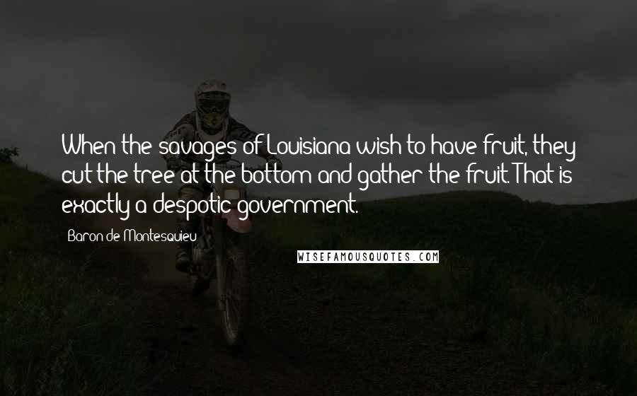 Baron De Montesquieu Quotes: When the savages of Louisiana wish to have fruit, they cut the tree at the bottom and gather the fruit. That is exactly a despotic government.