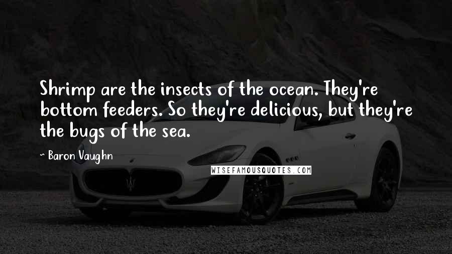 Baron Vaughn Quotes: Shrimp are the insects of the ocean. They're bottom feeders. So they're delicious, but they're the bugs of the sea.