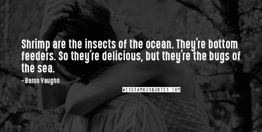 Baron Vaughn Quotes: Shrimp are the insects of the ocean. They're bottom feeders. So they're delicious, but they're the bugs of the sea.