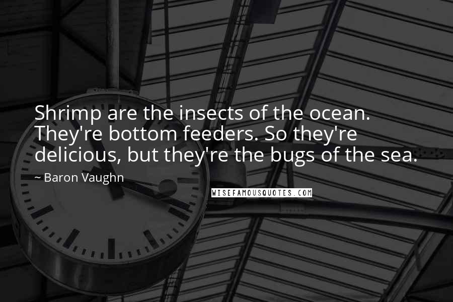 Baron Vaughn Quotes: Shrimp are the insects of the ocean. They're bottom feeders. So they're delicious, but they're the bugs of the sea.