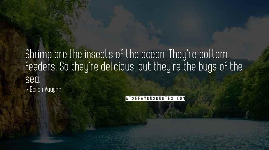 Baron Vaughn Quotes: Shrimp are the insects of the ocean. They're bottom feeders. So they're delicious, but they're the bugs of the sea.