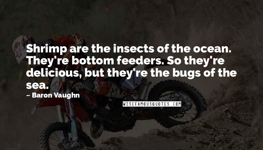 Baron Vaughn Quotes: Shrimp are the insects of the ocean. They're bottom feeders. So they're delicious, but they're the bugs of the sea.