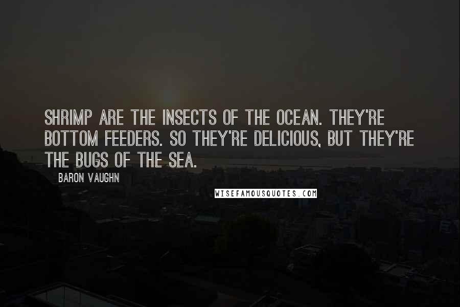 Baron Vaughn Quotes: Shrimp are the insects of the ocean. They're bottom feeders. So they're delicious, but they're the bugs of the sea.