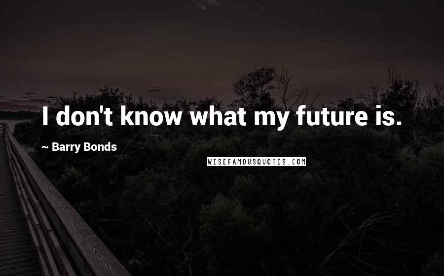 Barry Bonds Quotes: I don't know what my future is.