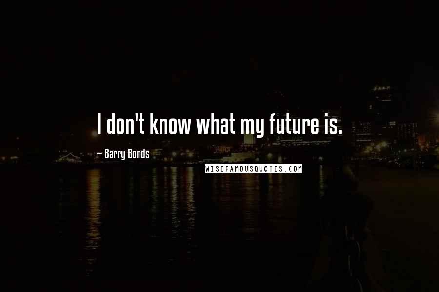 Barry Bonds Quotes: I don't know what my future is.