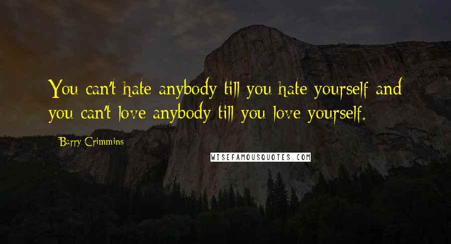 Barry Crimmins Quotes: You can't hate anybody till you hate yourself and you can't love anybody till you love yourself.