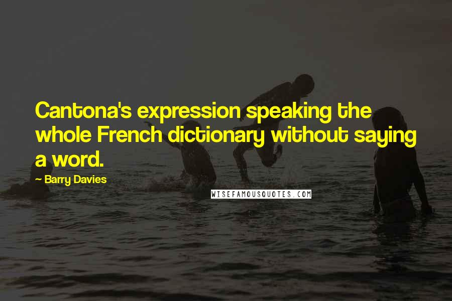 Barry Davies Quotes: Cantona's expression speaking the whole French dictionary without saying a word.