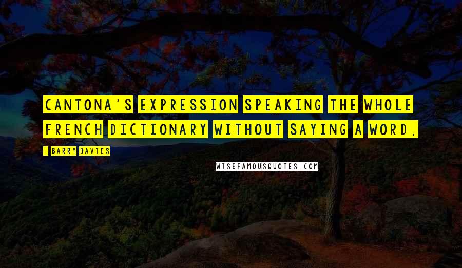 Barry Davies Quotes: Cantona's expression speaking the whole French dictionary without saying a word.