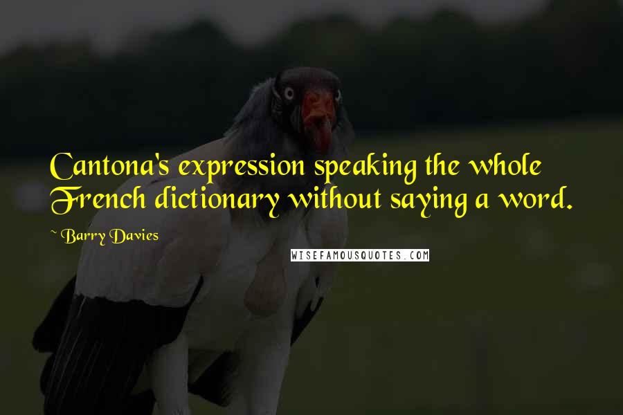 Barry Davies Quotes: Cantona's expression speaking the whole French dictionary without saying a word.