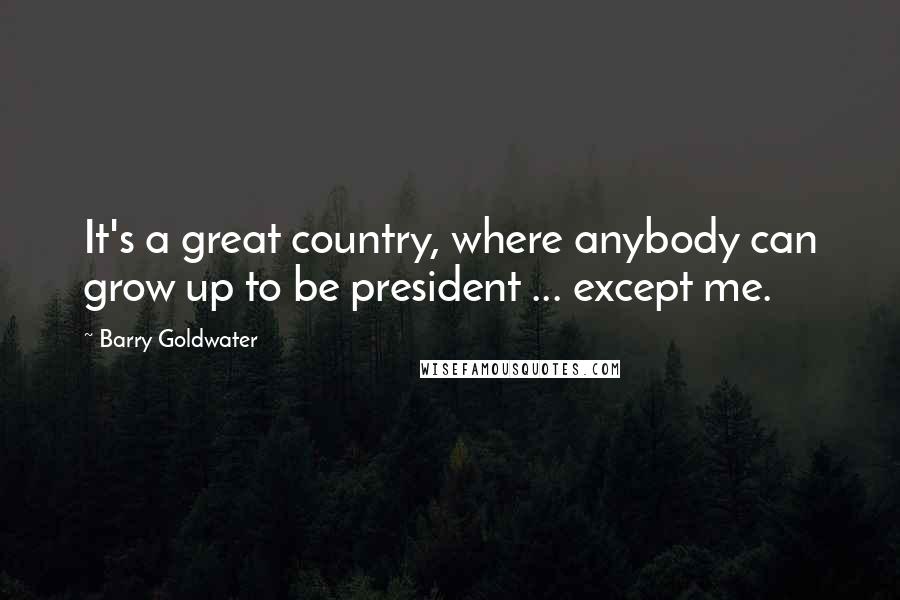 Barry Goldwater Quotes: It's a great country, where anybody can grow up to be president ... except me.