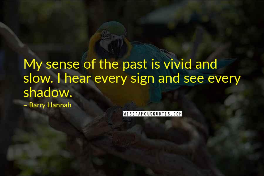 Barry Hannah Quotes: My sense of the past is vivid and slow. I hear every sign and see every shadow.