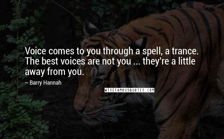 Barry Hannah Quotes: Voice comes to you through a spell, a trance. The best voices are not you ... they're a little away from you.