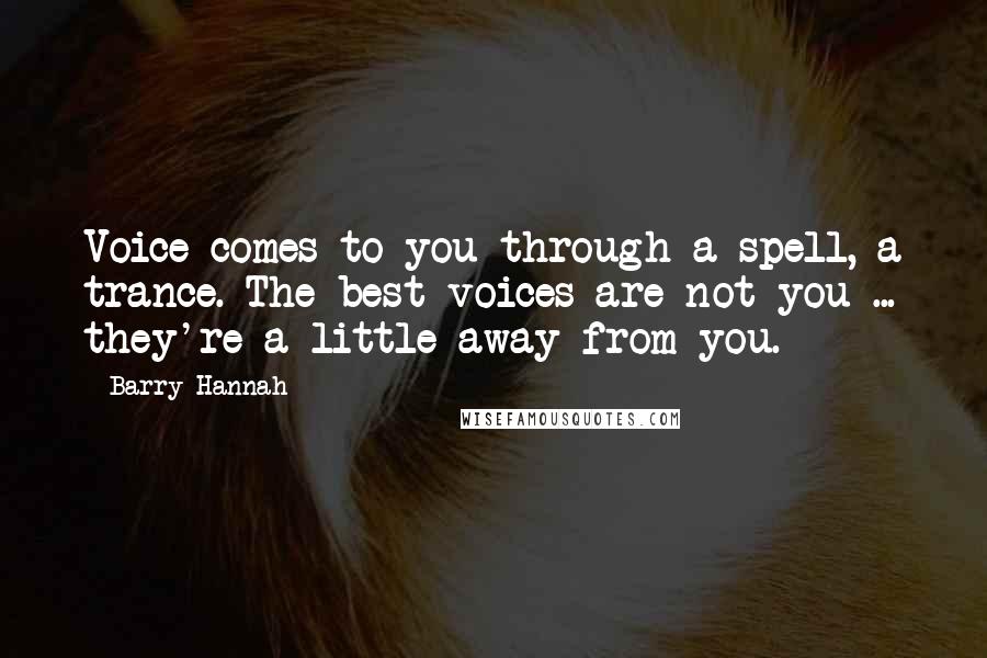 Barry Hannah Quotes: Voice comes to you through a spell, a trance. The best voices are not you ... they're a little away from you.