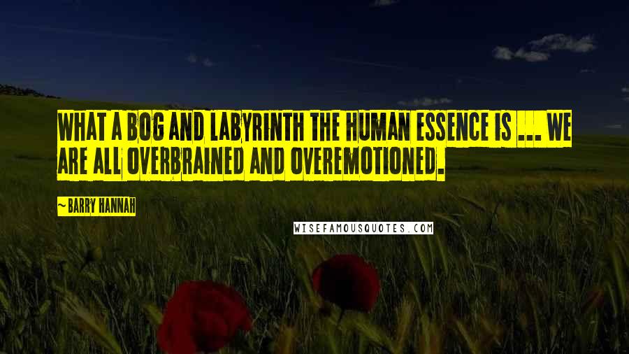 Barry Hannah Quotes: What a bog and labyrinth the human essence is ... We are all overbrained and overemotioned.