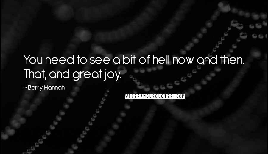 Barry Hannah Quotes: You need to see a bit of hell now and then. That, and great joy.