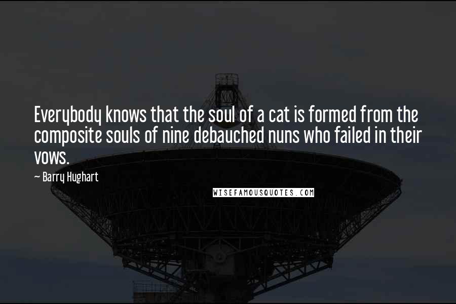 Barry Hughart Quotes: Everybody knows that the soul of a cat is formed from the composite souls of nine debauched nuns who failed in their vows.