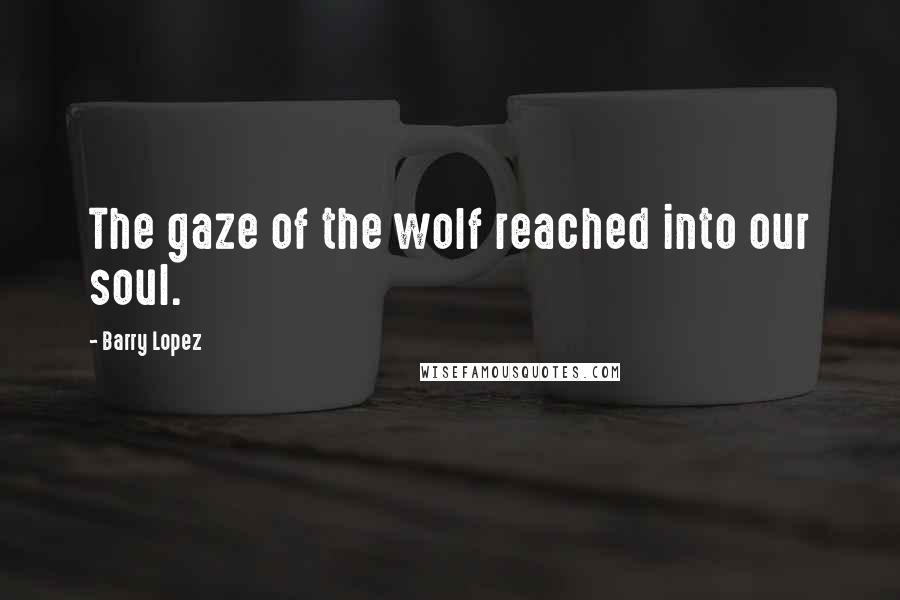 Barry Lopez Quotes: The gaze of the wolf reached into our soul.