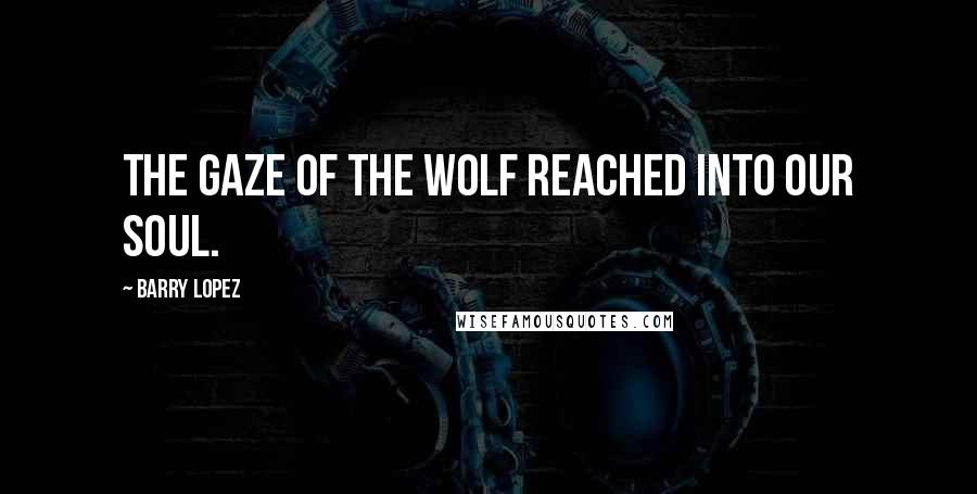 Barry Lopez Quotes: The gaze of the wolf reached into our soul.