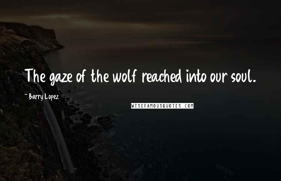 Barry Lopez Quotes: The gaze of the wolf reached into our soul.