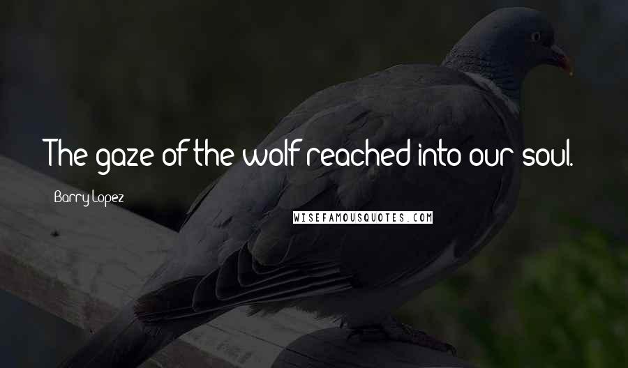 Barry Lopez Quotes: The gaze of the wolf reached into our soul.