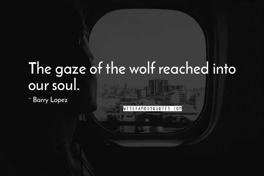 Barry Lopez Quotes: The gaze of the wolf reached into our soul.