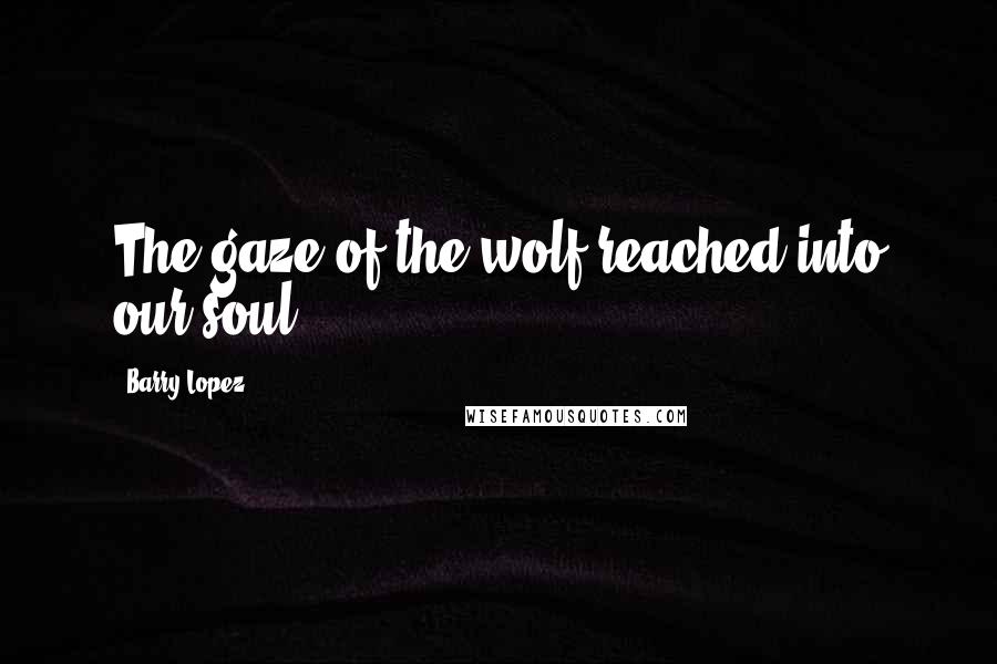 Barry Lopez Quotes: The gaze of the wolf reached into our soul.