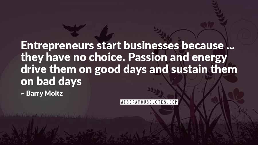 Barry Moltz Quotes: Entrepreneurs start businesses because ... they have no choice. Passion and energy drive them on good days and sustain them on bad days