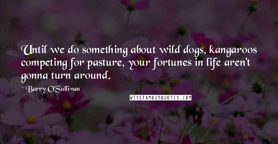 Barry O'Sullivan Quotes: Until we do something about wild dogs, kangaroos competing for pasture, your fortunes in life aren't gonna turn around.