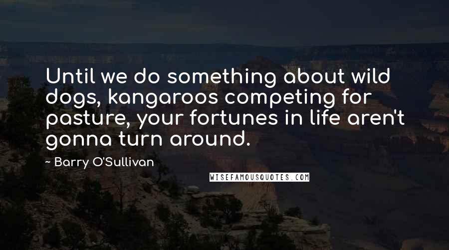 Barry O'Sullivan Quotes: Until we do something about wild dogs, kangaroos competing for pasture, your fortunes in life aren't gonna turn around.