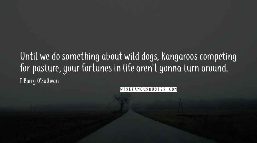 Barry O'Sullivan Quotes: Until we do something about wild dogs, kangaroos competing for pasture, your fortunes in life aren't gonna turn around.