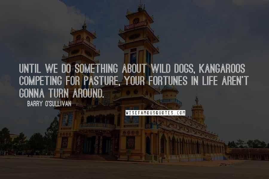 Barry O'Sullivan Quotes: Until we do something about wild dogs, kangaroos competing for pasture, your fortunes in life aren't gonna turn around.