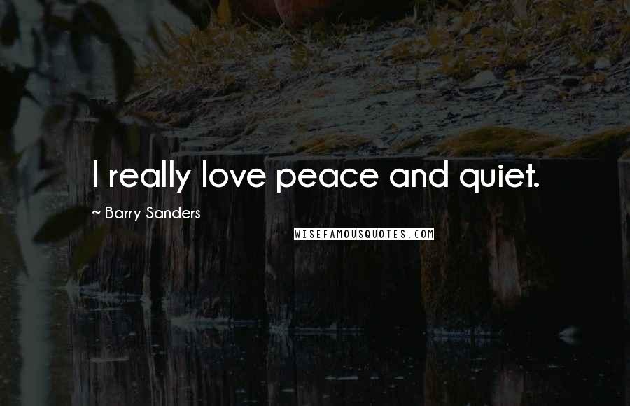 Barry Sanders Quotes: I really love peace and quiet.