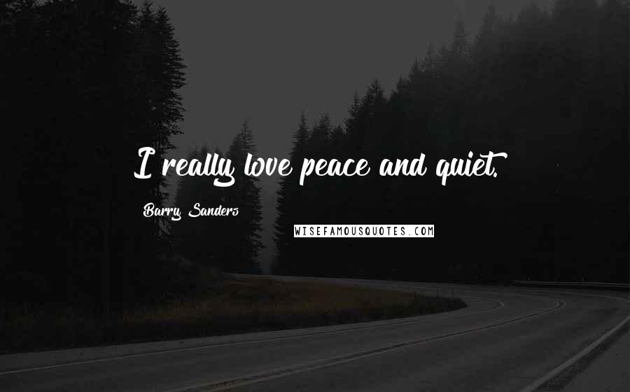 Barry Sanders Quotes: I really love peace and quiet.
