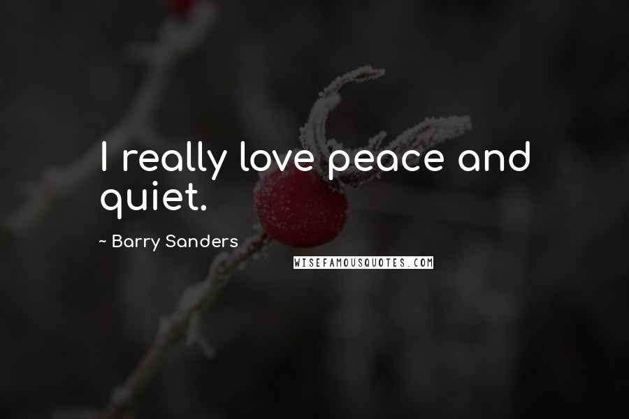 Barry Sanders Quotes: I really love peace and quiet.