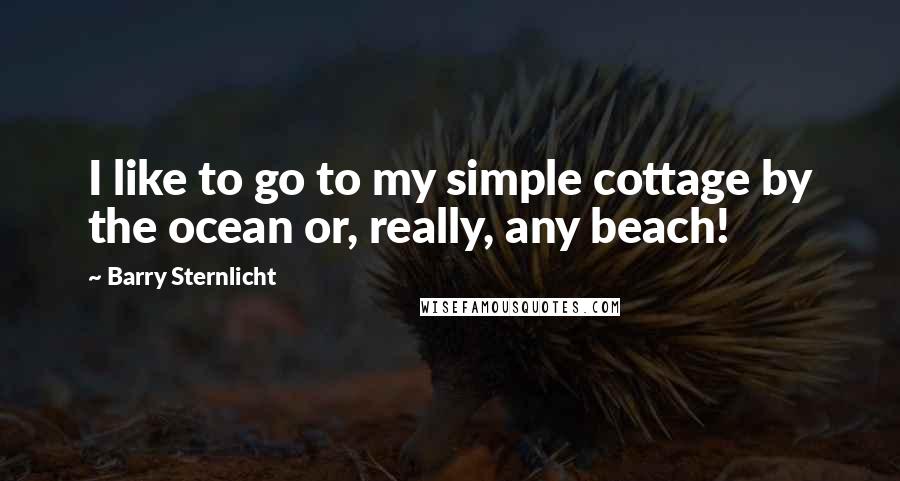 Barry Sternlicht Quotes: I like to go to my simple cottage by the ocean or, really, any beach!