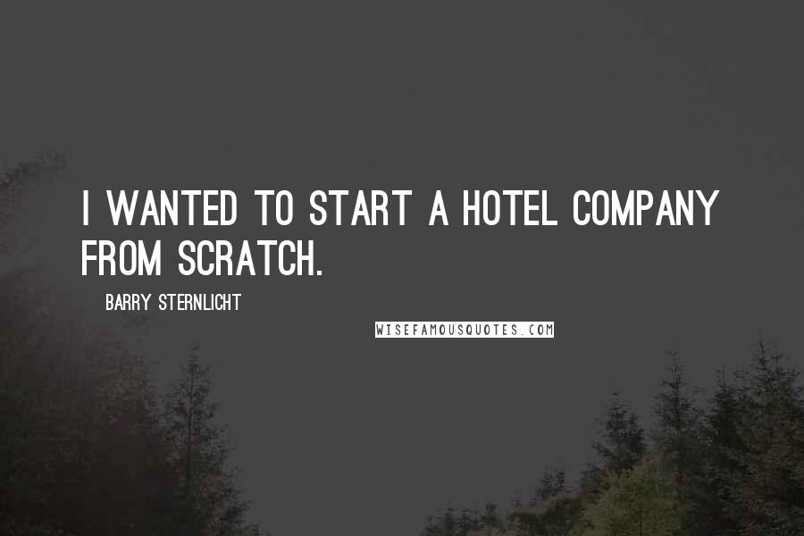 Barry Sternlicht Quotes: I wanted to start a hotel company from scratch.