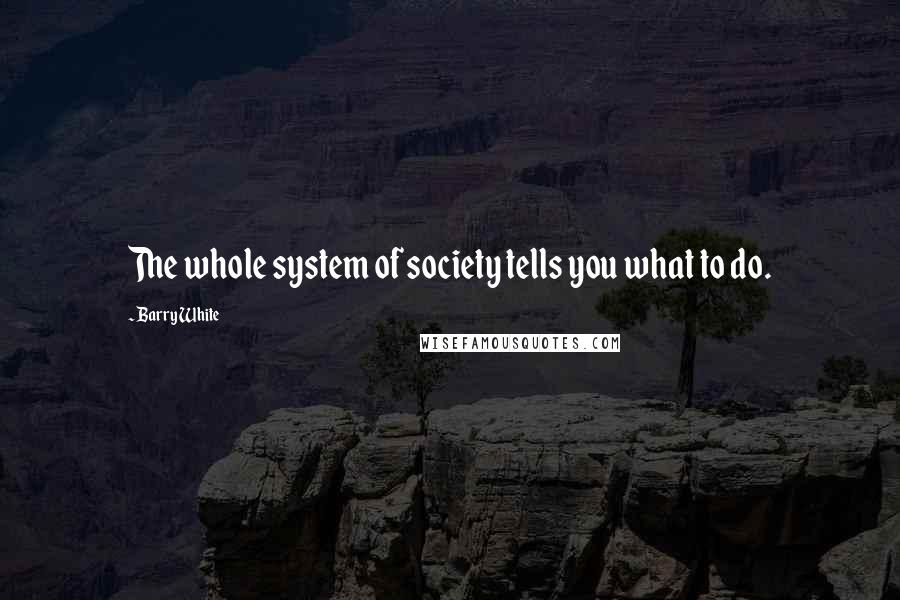 Barry White Quotes: The whole system of society tells you what to do.